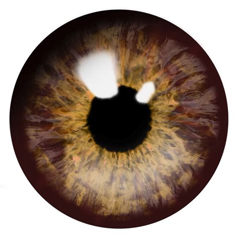 eye view png|Eye View PNG Transparent Images Free Download .
